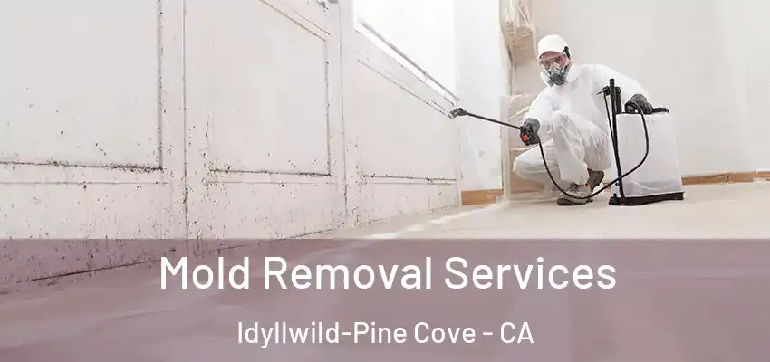  Mold Removal Services Idyllwild-Pine Cove - CA