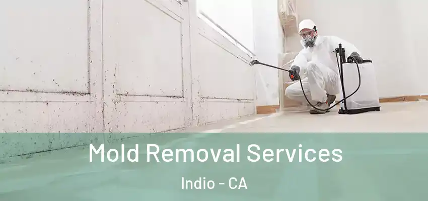  Mold Removal Services Indio - CA