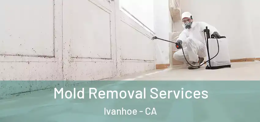  Mold Removal Services Ivanhoe - CA