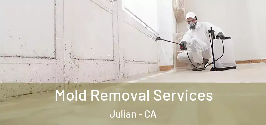  Mold Removal Services Julian - CA