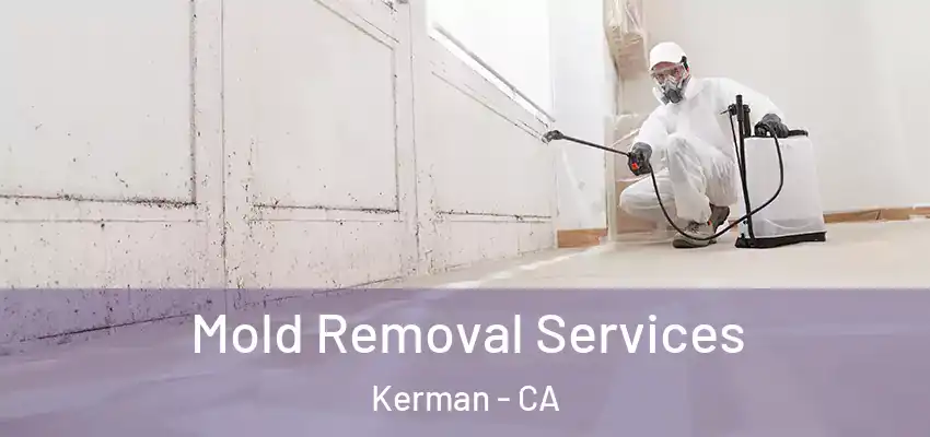  Mold Removal Services Kerman - CA