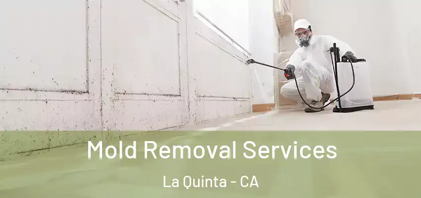  Mold Removal Services La Quinta - CA