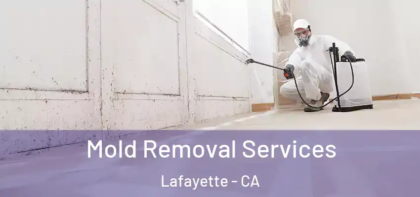  Mold Removal Services Lafayette - CA