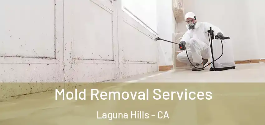  Mold Removal Services Laguna Hills - CA