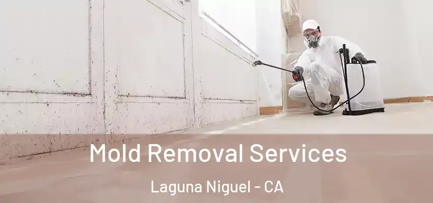  Mold Removal Services Laguna Niguel - CA