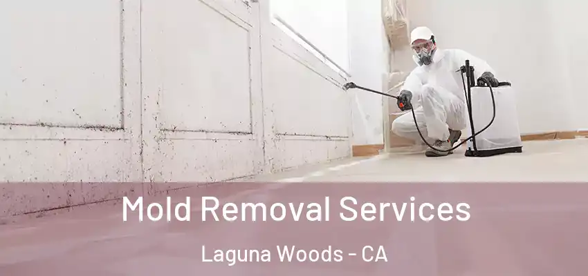  Mold Removal Services Laguna Woods - CA