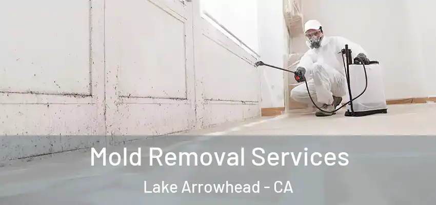  Mold Removal Services Lake Arrowhead - CA