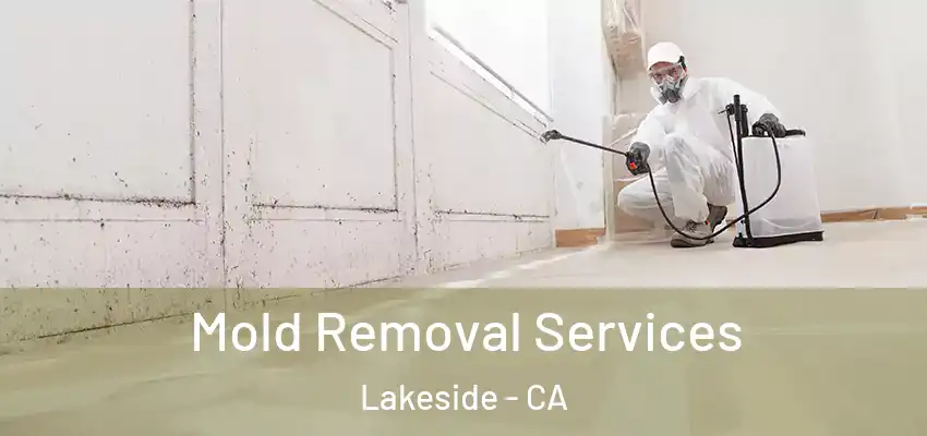  Mold Removal Services Lakeside - CA