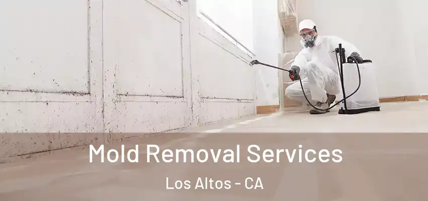  Mold Removal Services Los Altos - CA