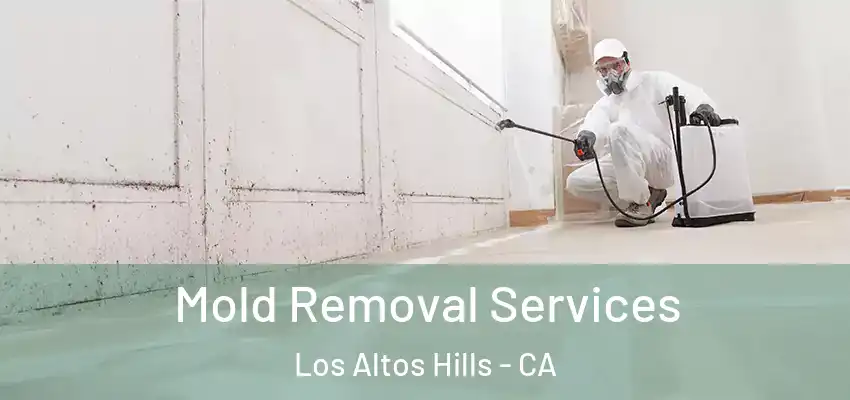  Mold Removal Services Los Altos Hills - CA