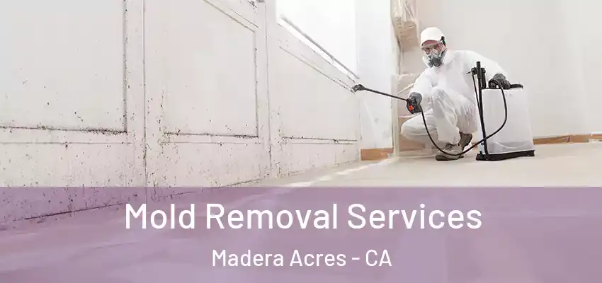  Mold Removal Services Madera Acres - CA