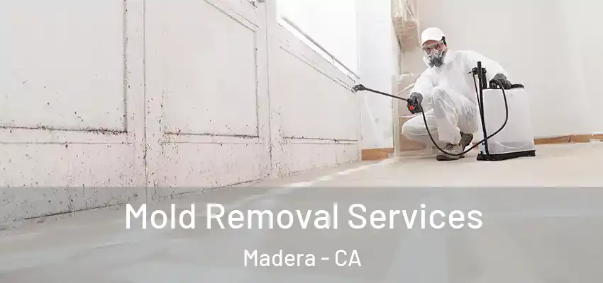  Mold Removal Services Madera - CA