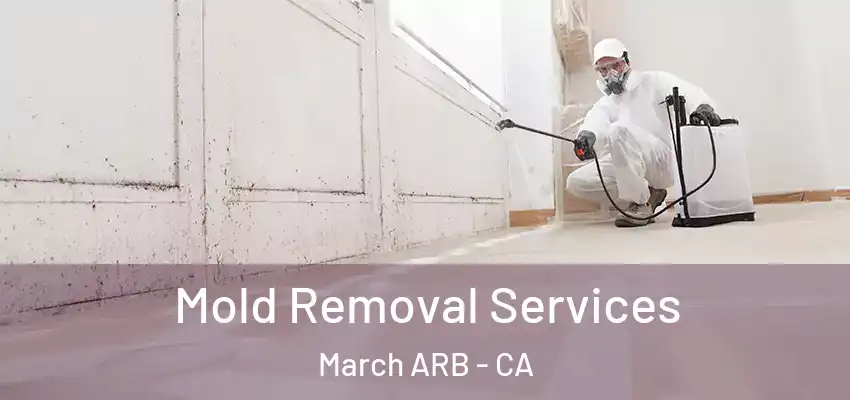  Mold Removal Services March ARB - CA