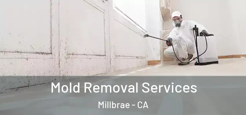  Mold Removal Services Millbrae - CA