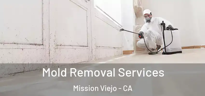  Mold Removal Services Mission Viejo - CA