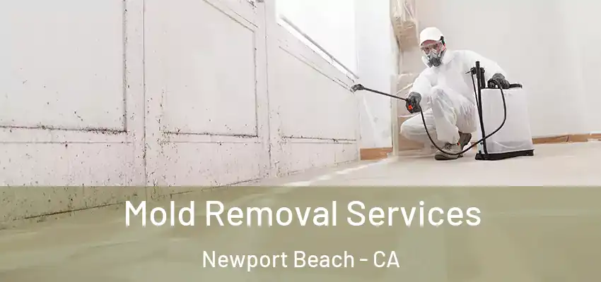  Mold Removal Services Newport Beach - CA