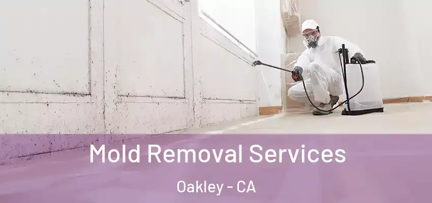  Mold Removal Services Oakley - CA