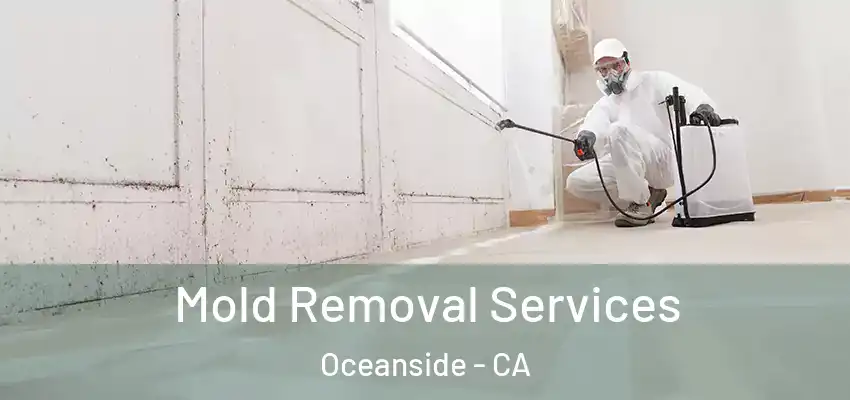  Mold Removal Services Oceanside - CA