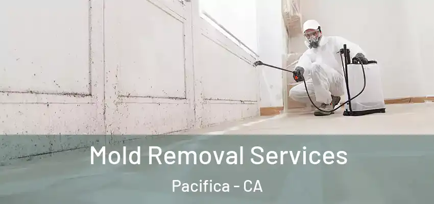  Mold Removal Services Pacifica - CA