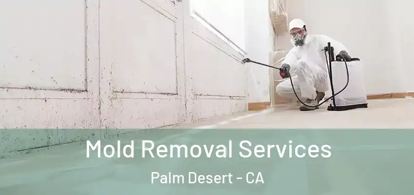  Mold Removal Services Palm Desert - CA