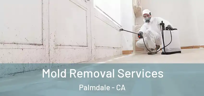  Mold Removal Services Palmdale - CA