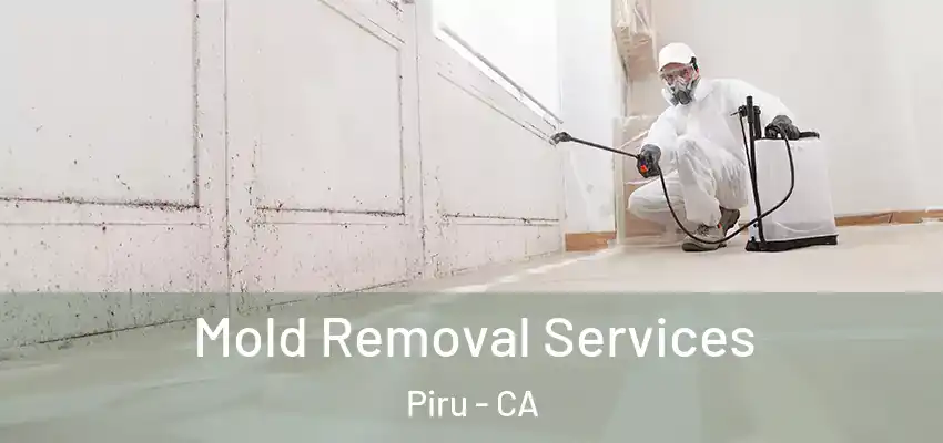  Mold Removal Services Piru - CA