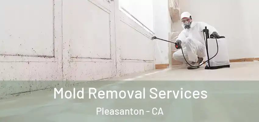  Mold Removal Services Pleasanton - CA