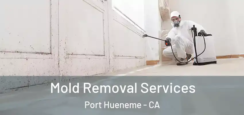  Mold Removal Services Port Hueneme - CA