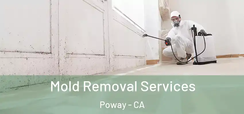  Mold Removal Services Poway - CA