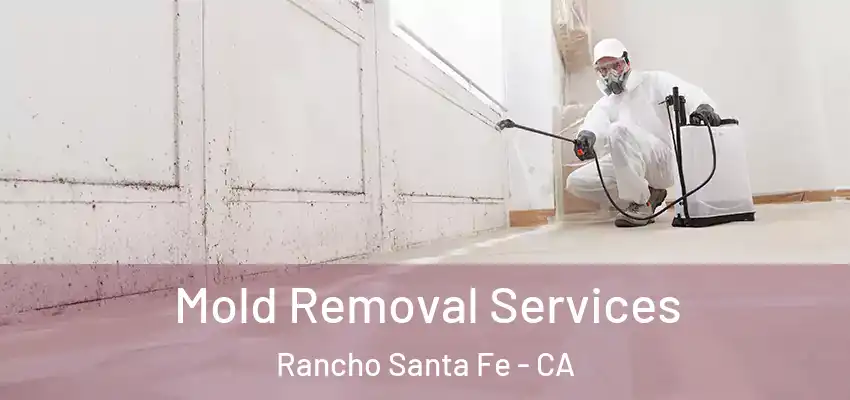  Mold Removal Services Rancho Santa Fe - CA