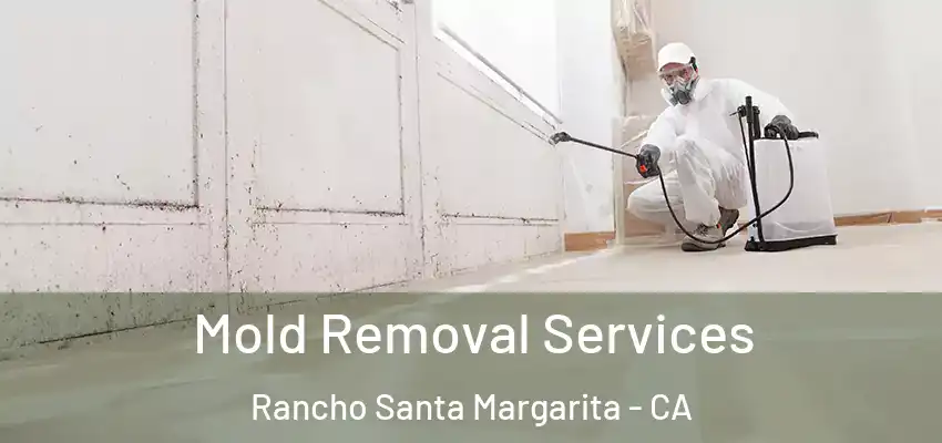  Mold Removal Services Rancho Santa Margarita - CA