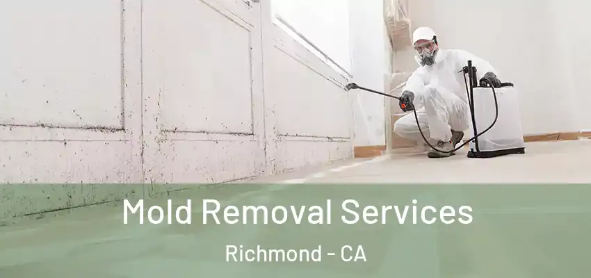  Mold Removal Services Richmond - CA