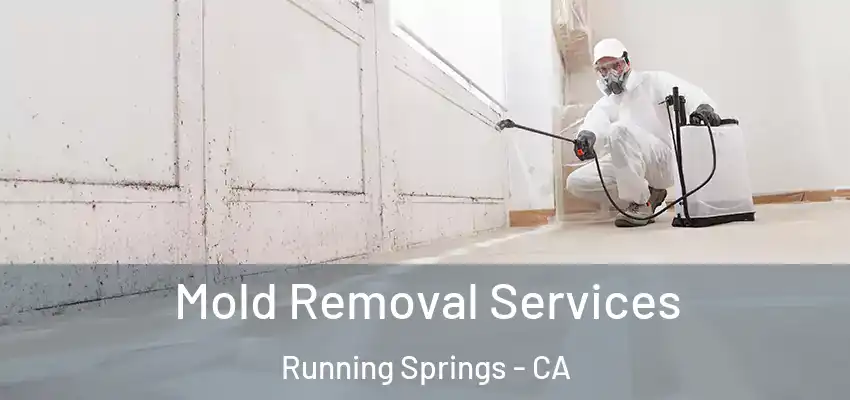  Mold Removal Services Running Springs - CA