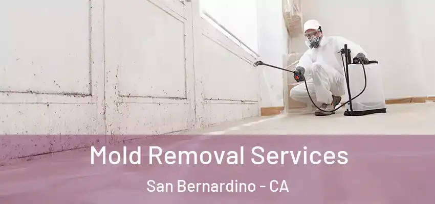  Mold Removal Services San Bernardino - CA