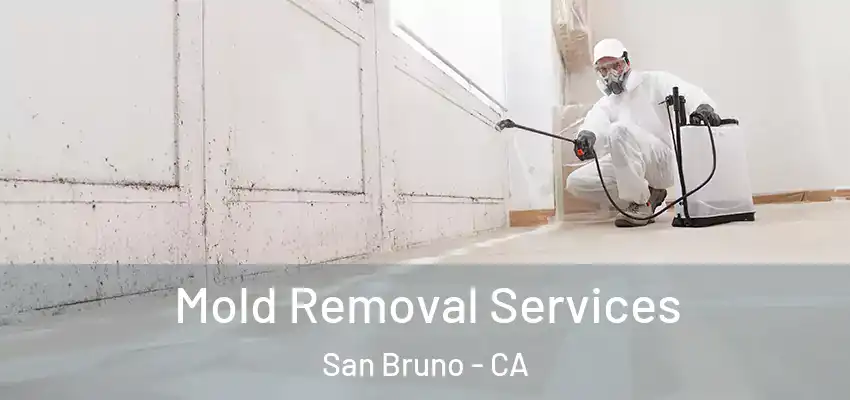  Mold Removal Services San Bruno - CA