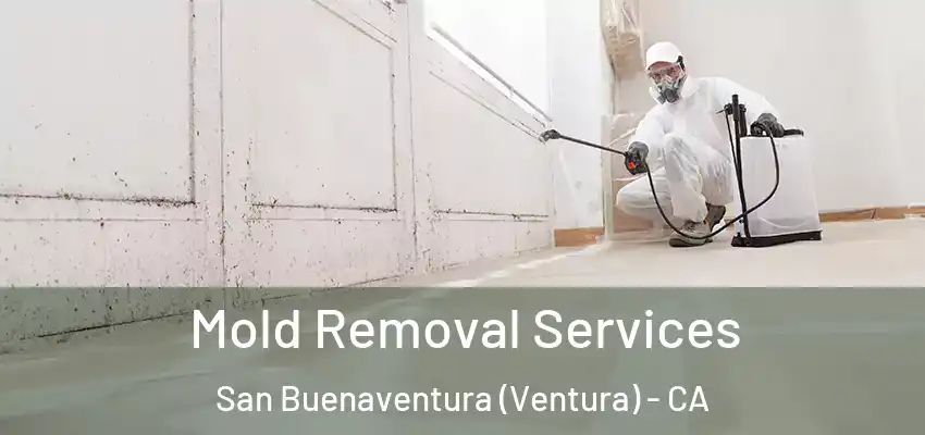  Mold Removal Services San Buenaventura (Ventura) - CA