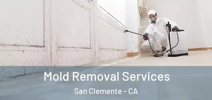  Mold Removal Services San Clemente - CA