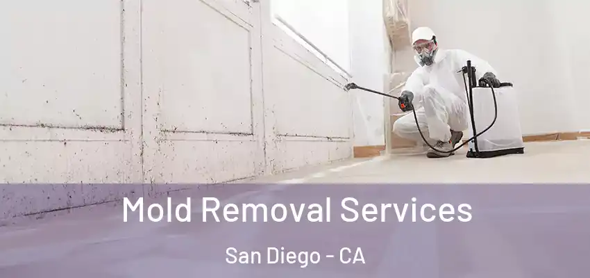  Mold Removal Services San Diego - CA