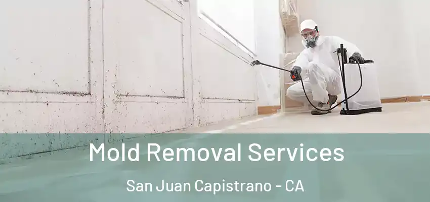  Mold Removal Services San Juan Capistrano - CA