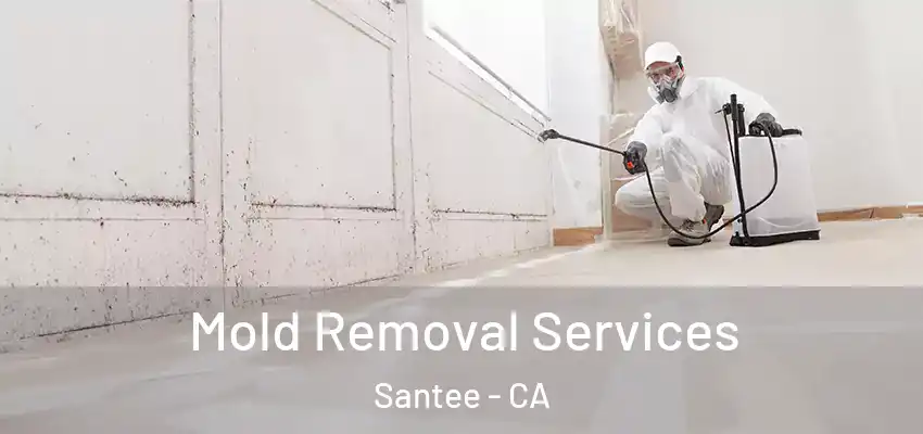  Mold Removal Services Santee - CA