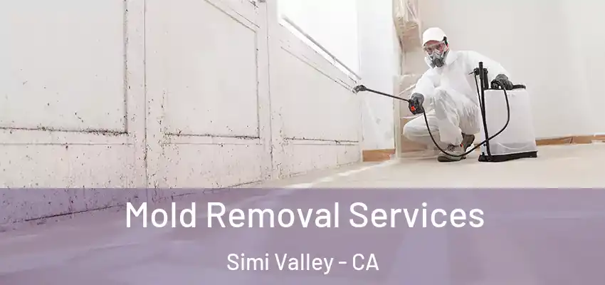  Mold Removal Services Simi Valley - CA