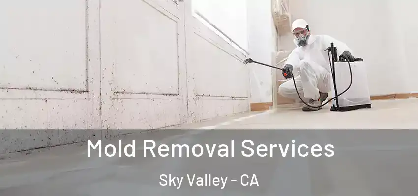  Mold Removal Services Sky Valley - CA