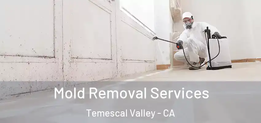  Mold Removal Services Temescal Valley - CA