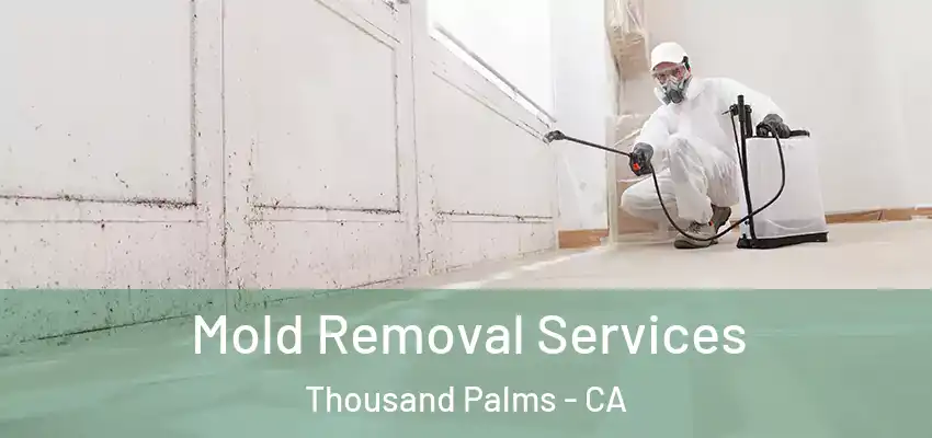  Mold Removal Services Thousand Palms - CA