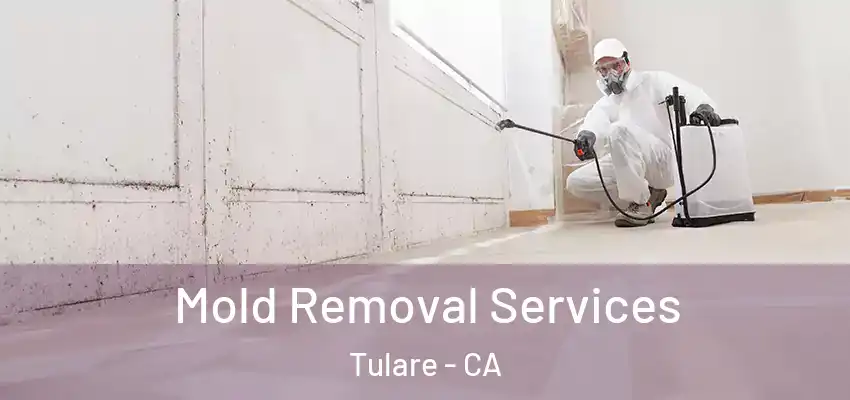  Mold Removal Services Tulare - CA