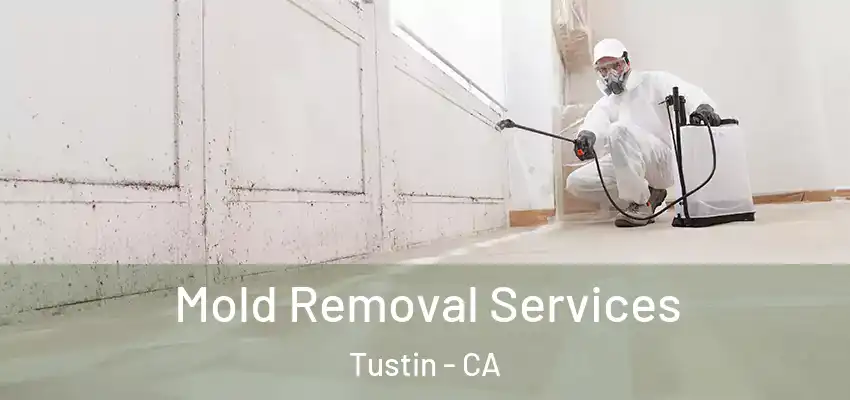  Mold Removal Services Tustin - CA