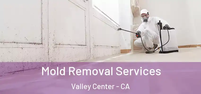  Mold Removal Services Valley Center - CA