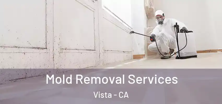  Mold Removal Services Vista - CA