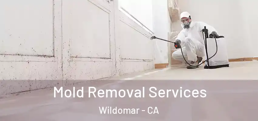  Mold Removal Services Wildomar - CA