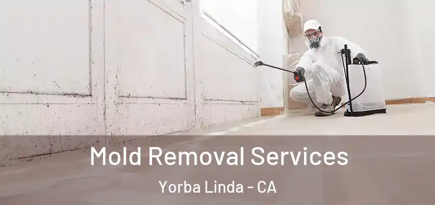  Mold Removal Services Yorba Linda - CA